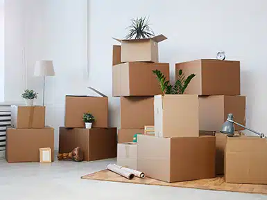 Boxing supplies